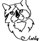 One Line Pet Portrait Illustration of a cat named Carly