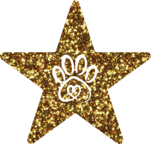 Gold Star Pet Parent Magnet Award